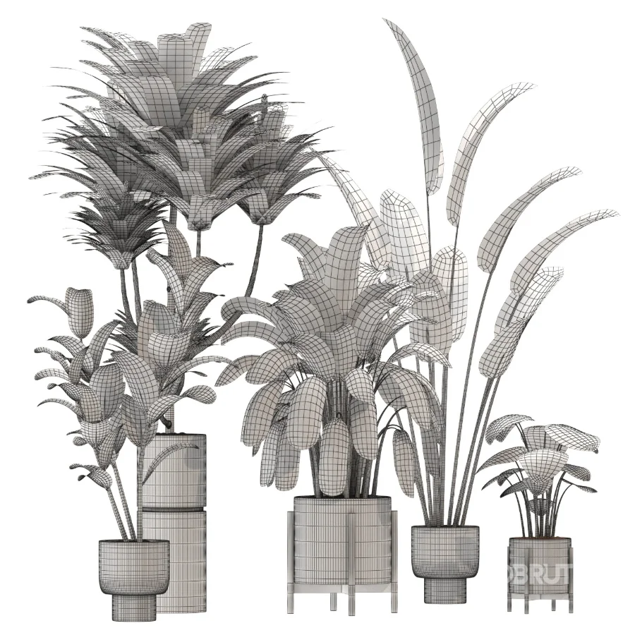 indoor-plant-020 Image 4