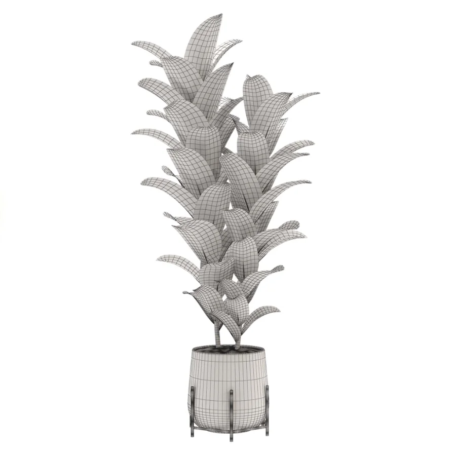 indoor-plant-008 Image 2