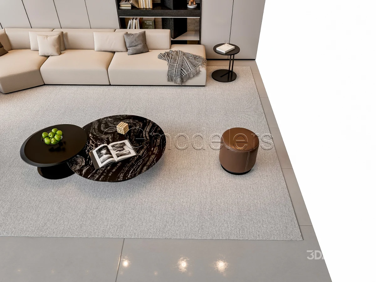 MODERN LUXURY LIVING ROOM SET 4 Image 17