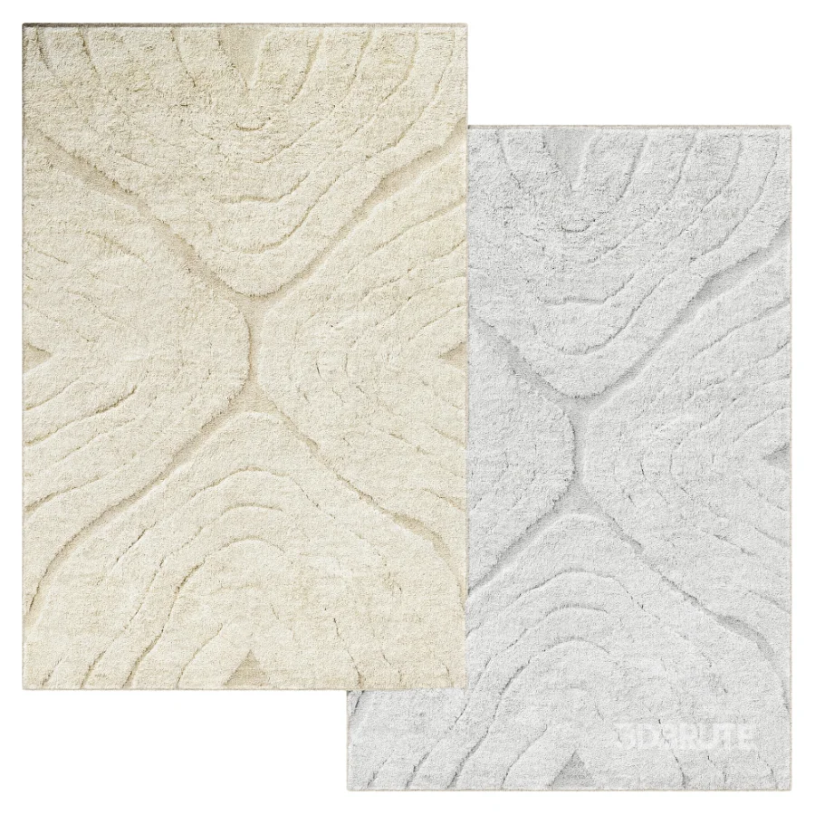Carpet Image 3