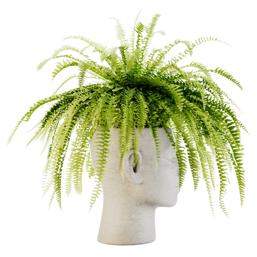 Fern Mind Sculpture Image 4
