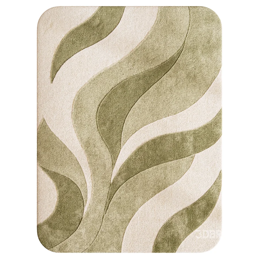 Carpet Image 2
