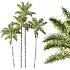 AV Plant Roystonea Regia Palm Tree 01 - Thumbnail 1