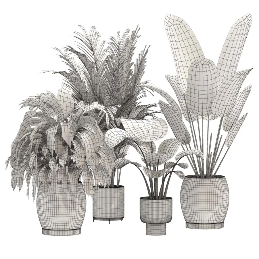 indoor-plant-019 Image 3