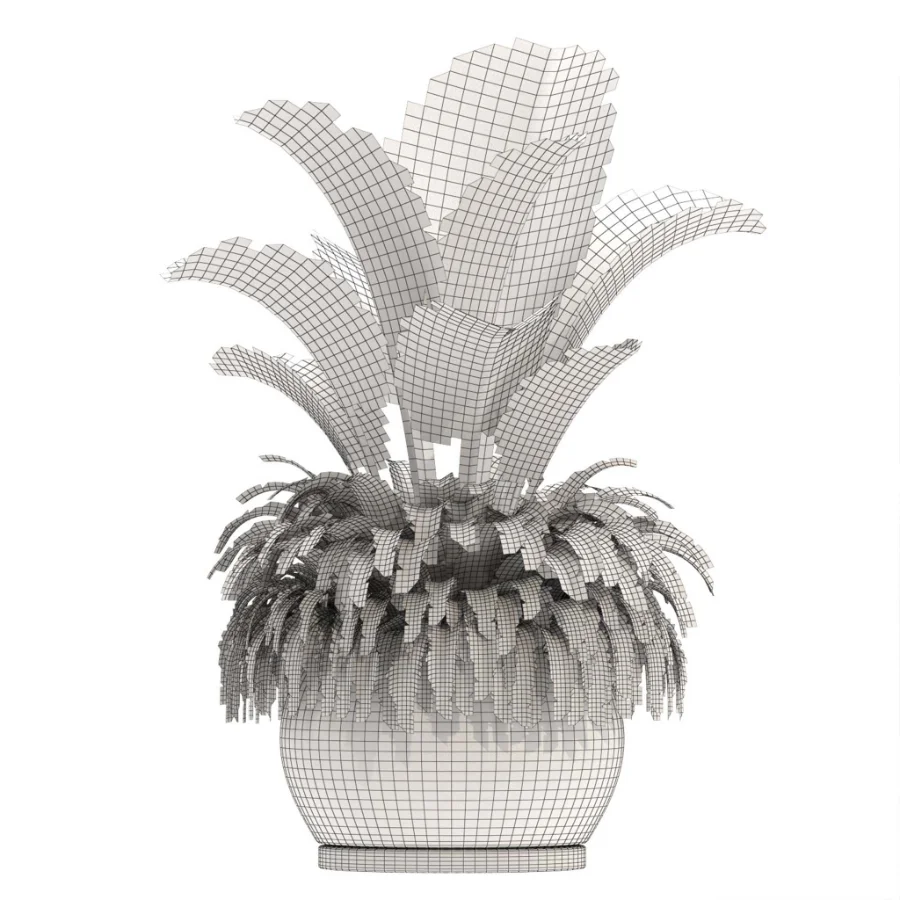indoor-plant-021 Image 3
