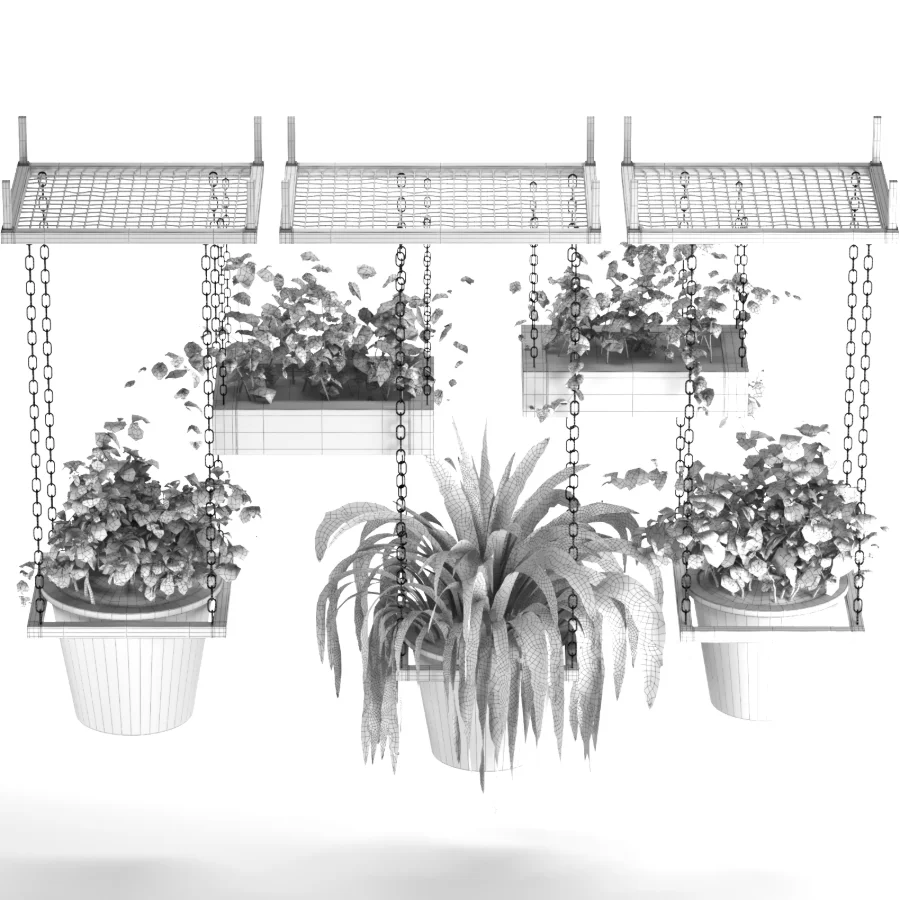 Hanging Plant 04 Image 1
