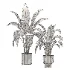 indoor-plant-025 - Thumbnail 4