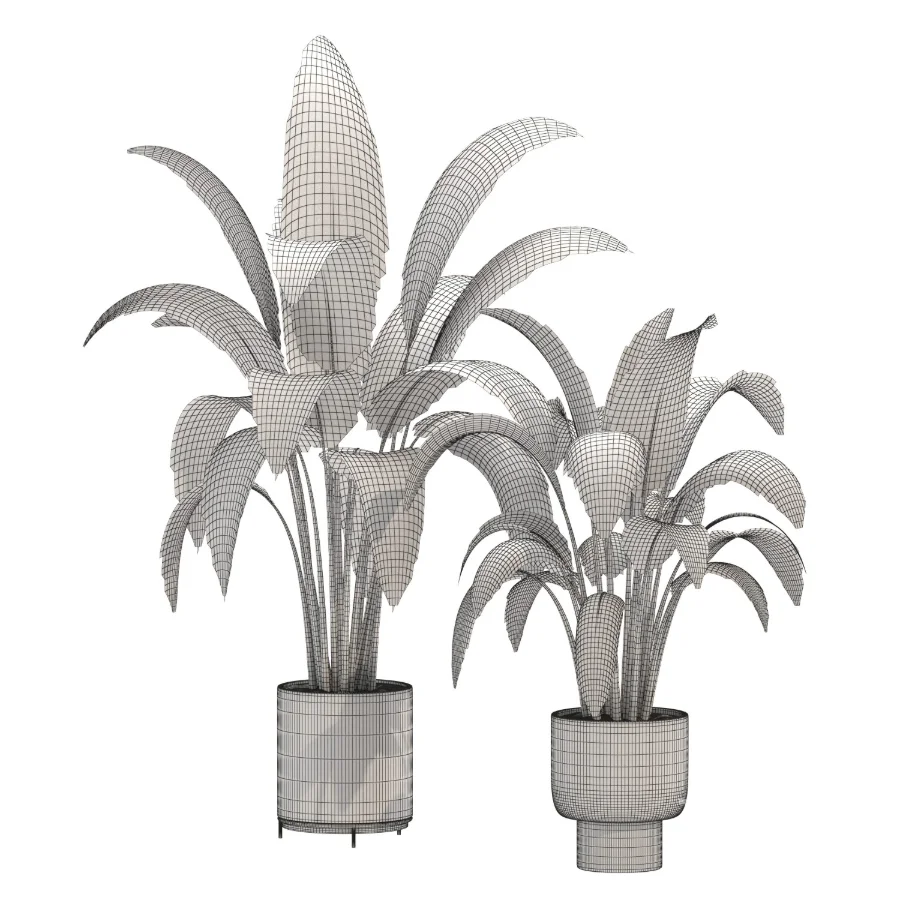 indoor-plant-025 Image 4