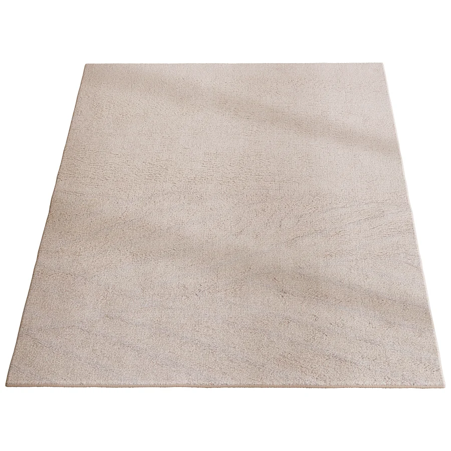 Carpet16 Image 2