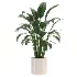 indoor-plant-004 - Thumbnail 1