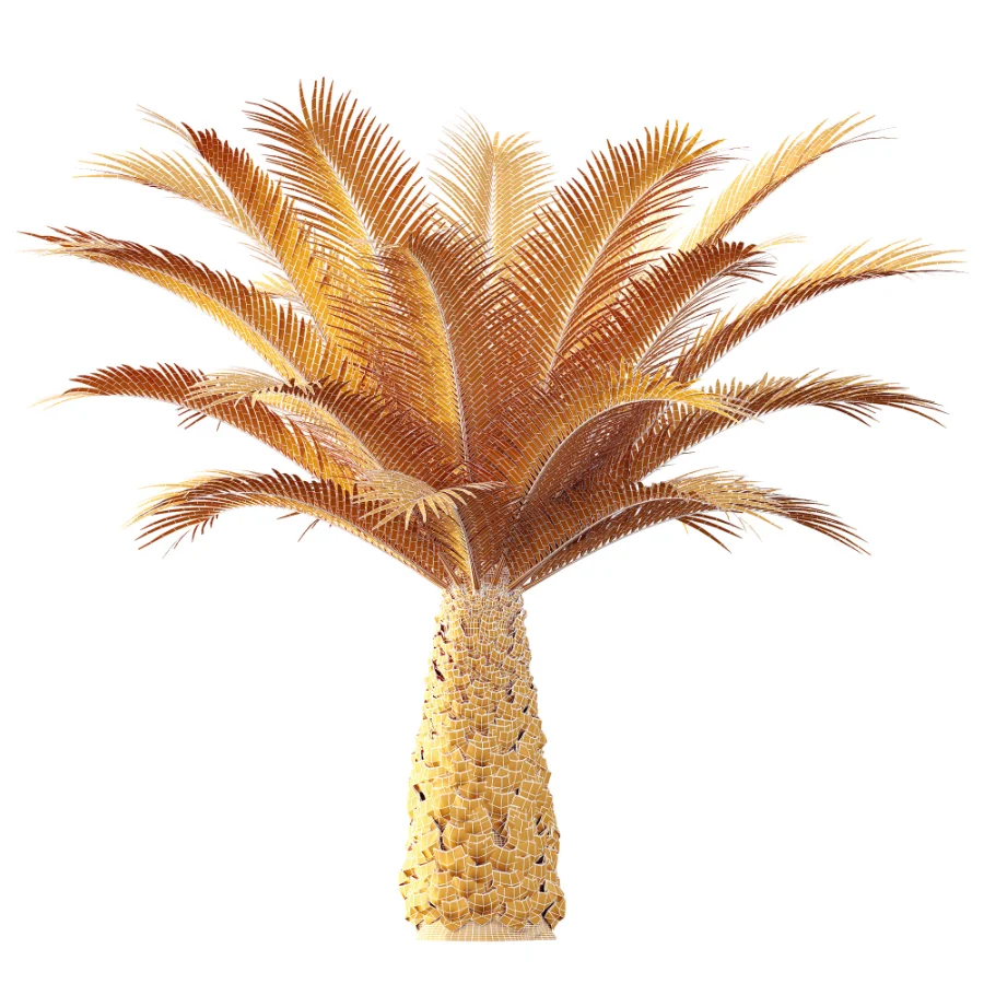 AV Plant Phoenix Canariensis Palm Tree 03 Image 9
