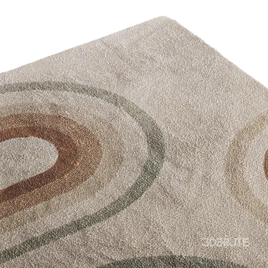 Carpet 20 Image 1