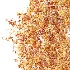 AV Plant Citrus Dancy Mandarin Tangerine Fruit Tree 01 - Thumbnail 8