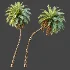 AV Plant Phoenix Sylvestris Palm Tree 01 - Thumbnail 5