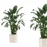 indoor-plant-004 - Thumbnail 2