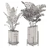 indoor-plant-011 - Thumbnail 3
