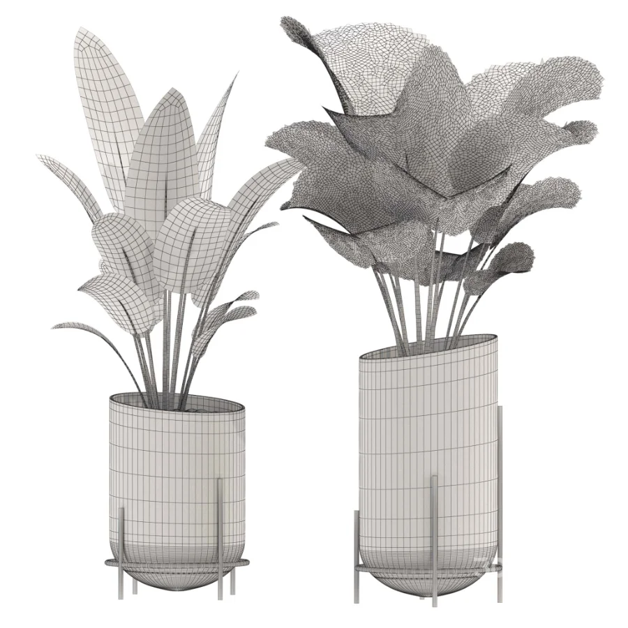 indoor-plant-011 Image 3