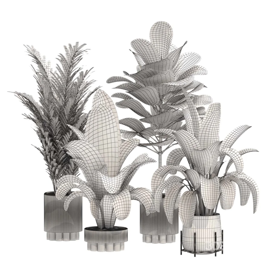 indoor-plant-014 Image 3