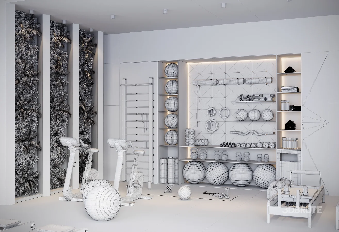 Modern Luxury Home Gym Interior 01 Image 7