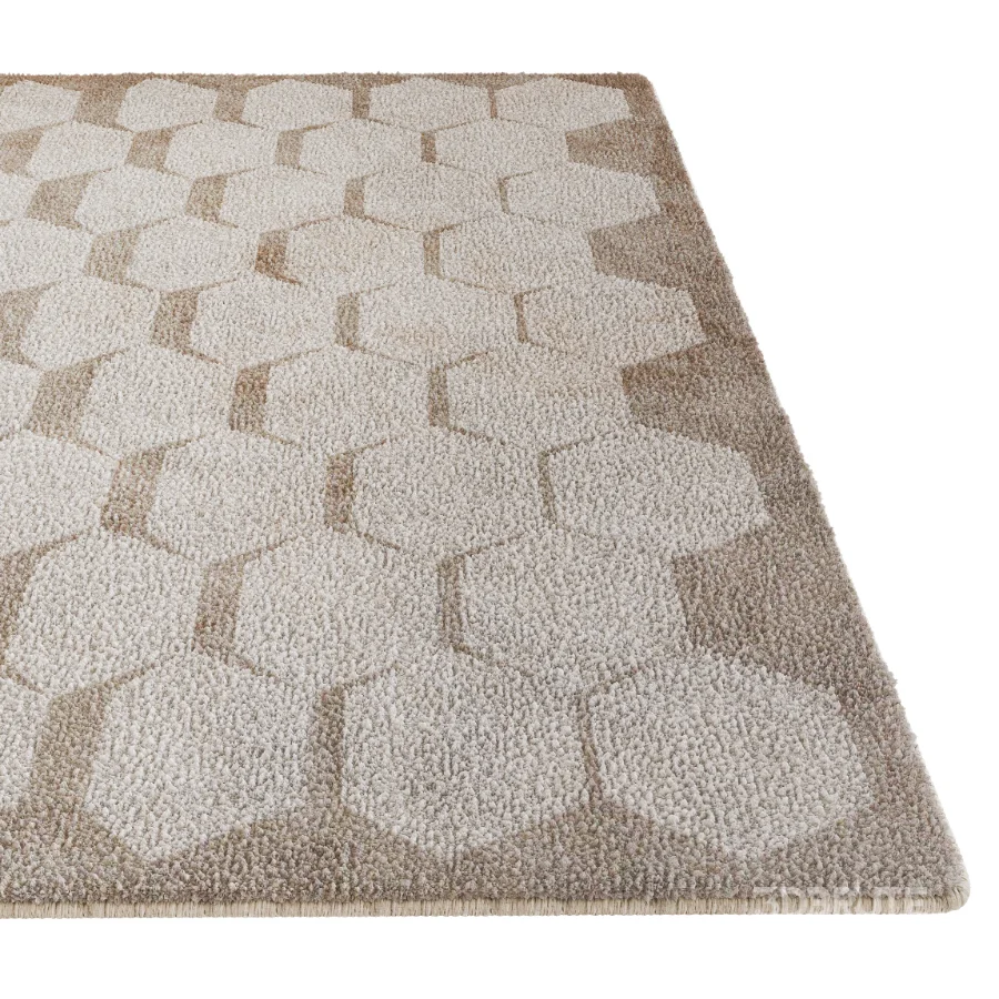 Carpet 17 Image 3