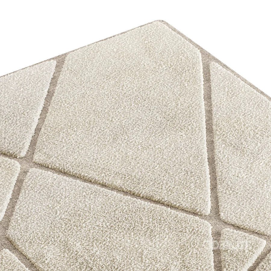 Carpet 19 Image 1