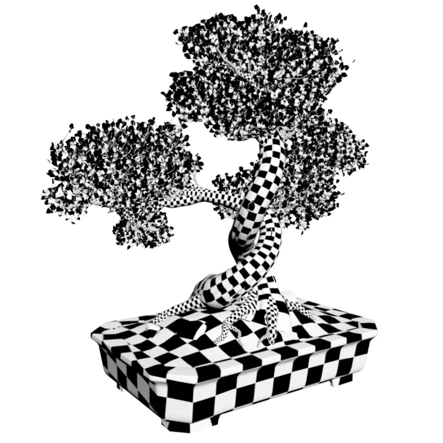 Bonsai Beauty 08 Image 2