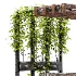 Rustic Garden Swing Lounge - Thumbnail 4