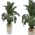 indoor-plant-016 - Thumbnail 3