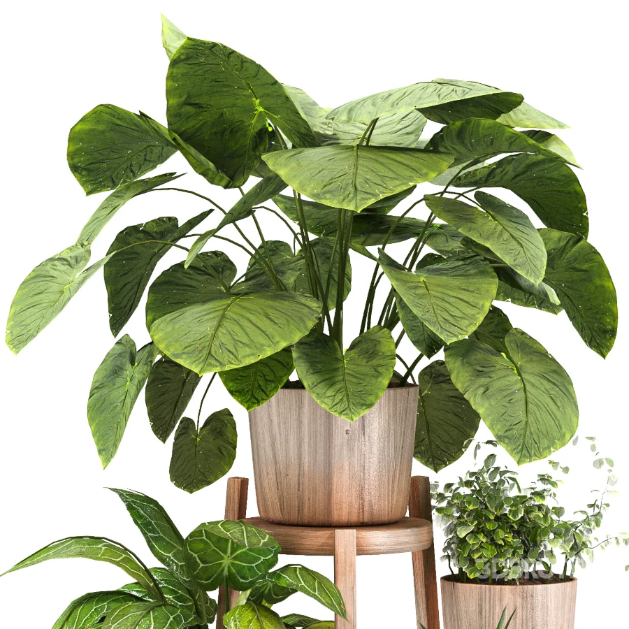 Planting Stand 01 Image 5