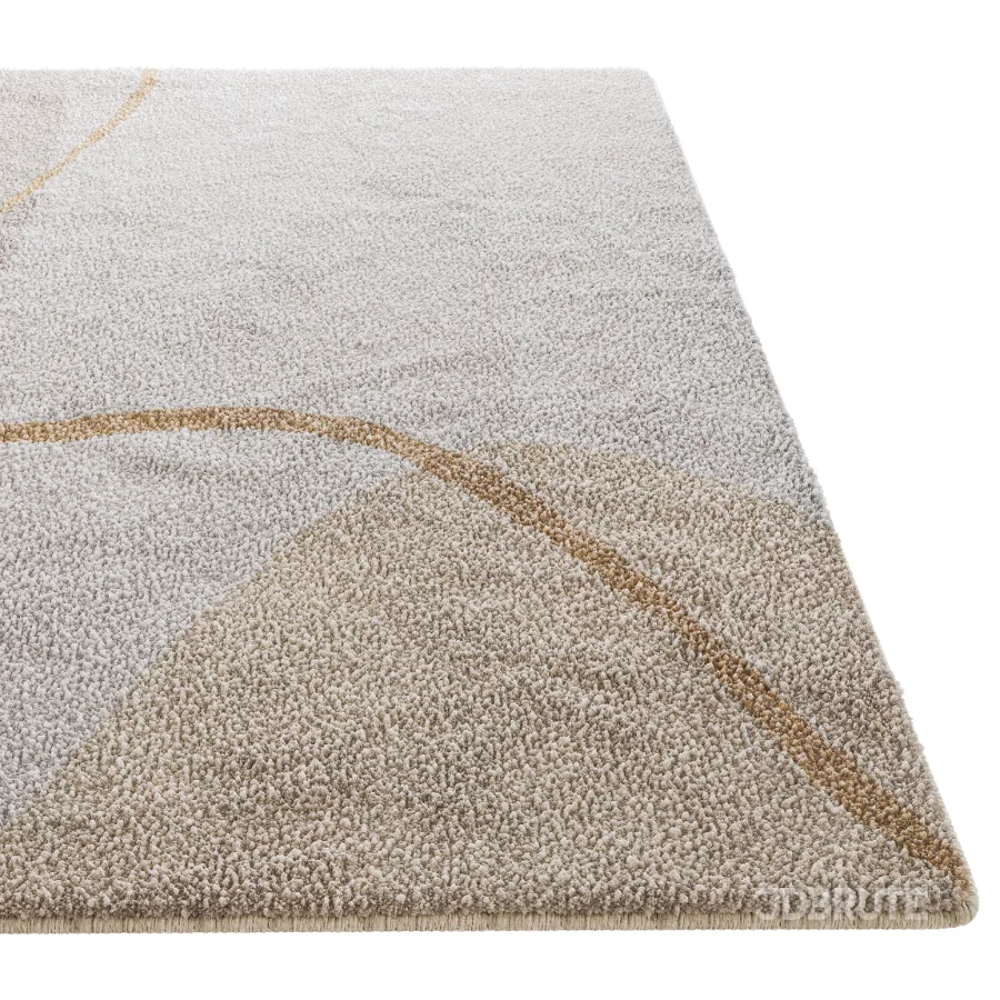 Carpet 18 Image 3