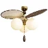 Vintage Floral Disc Ceiling Light - Thumbnail 6