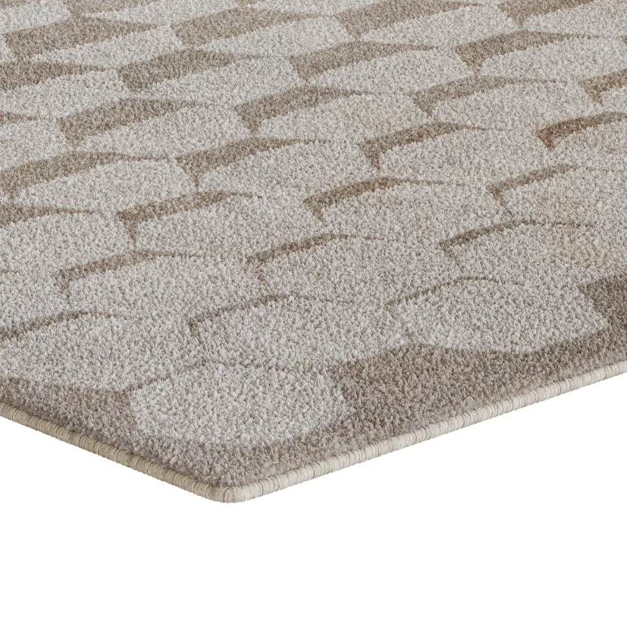 Carpet 17 Image 4
