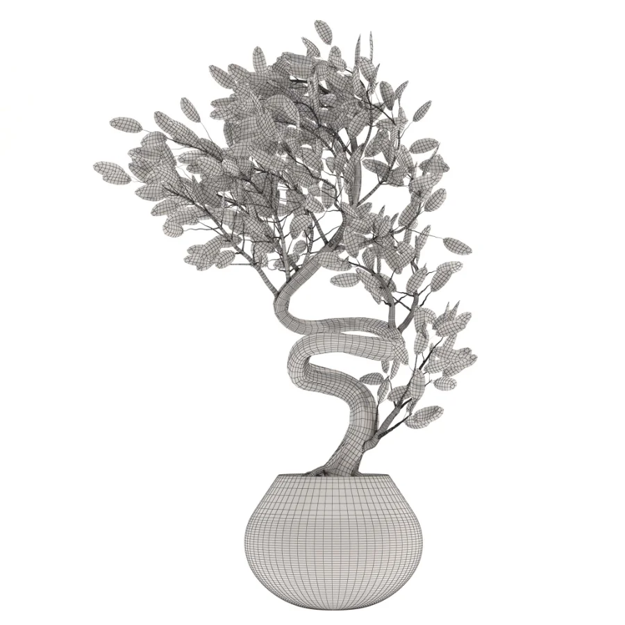 indoor-plant-012 Image 3