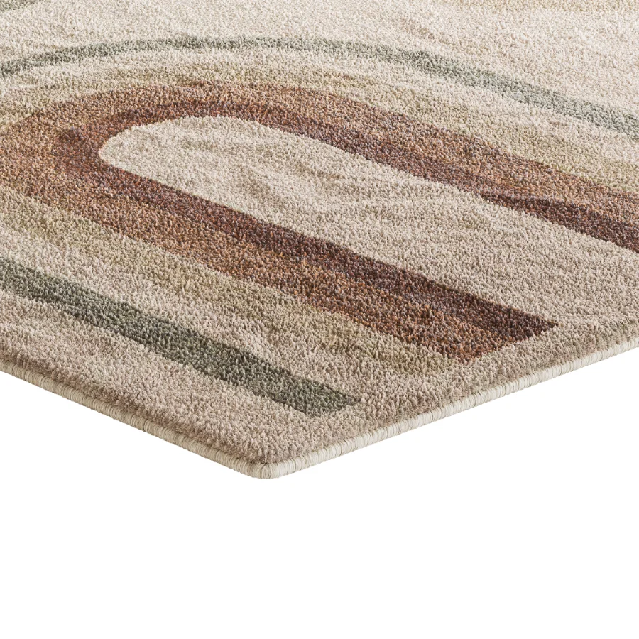 Carpet 20 Image 4