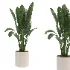 indoor-plant-005 - Thumbnail 2