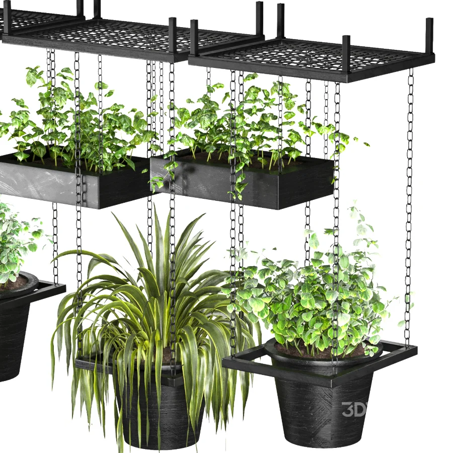 Hanging Plant 04 Image 5