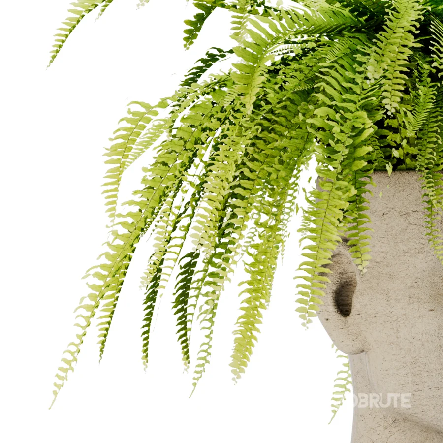 Fern Mind Sculpture Image 3