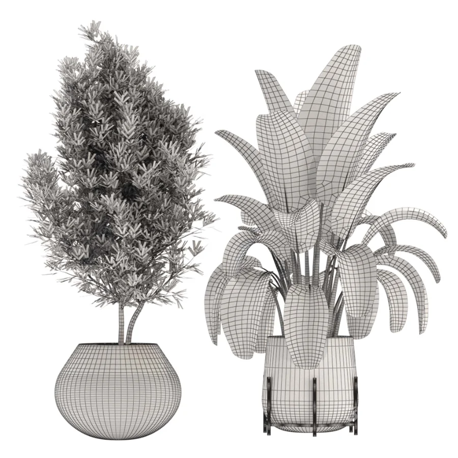 indoor-plant-013 Image 3