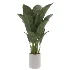 indoor-plant-006 - Thumbnail 1