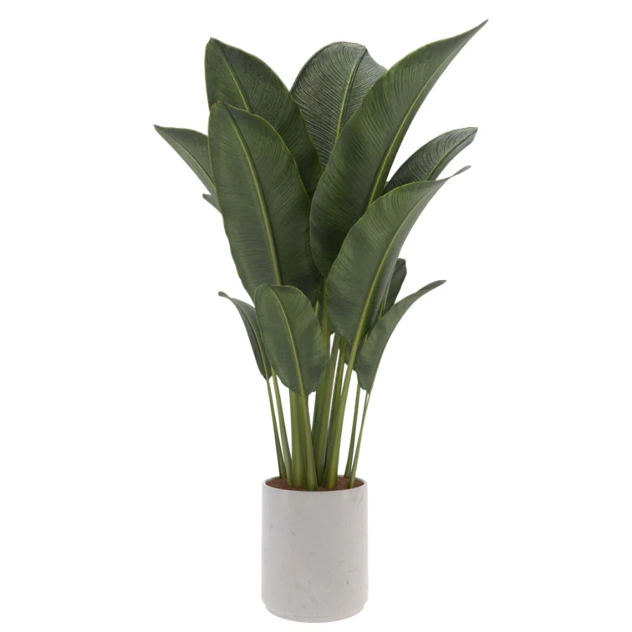 indoor-plant-006 Image 1