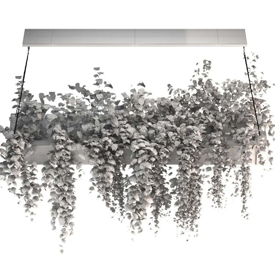 Hanging Plant 05 Image 2