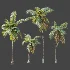 AV Plant Cocos Nucifera Palm Tree 01 - Thumbnail 5