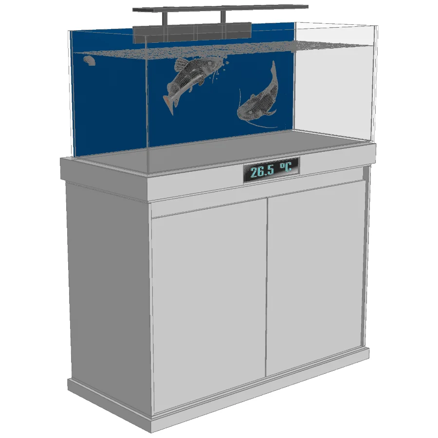 Redtail Fish Aquarium Tank Image 3