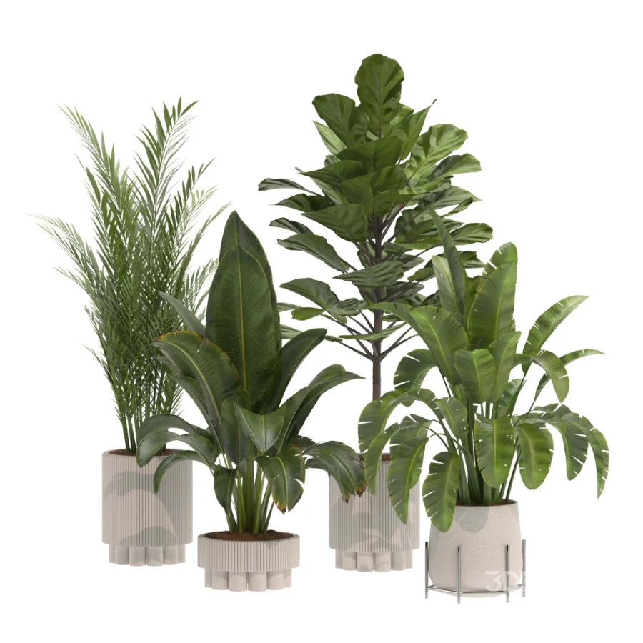 indoor-plant-014 Image 2