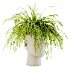 Fern Mind Sculpture - Thumbnail 1