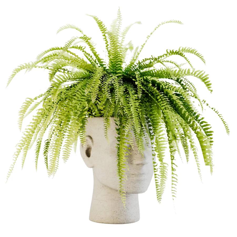 Fern Mind Sculpture Image 1
