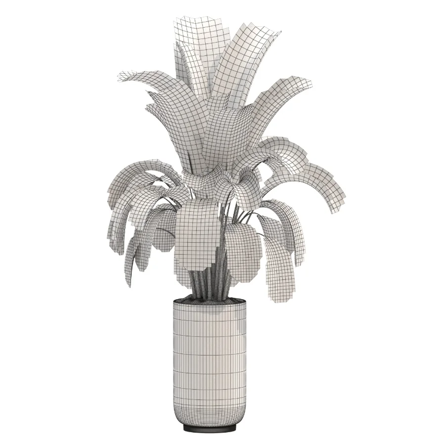 indoor-plant-016 Image 1