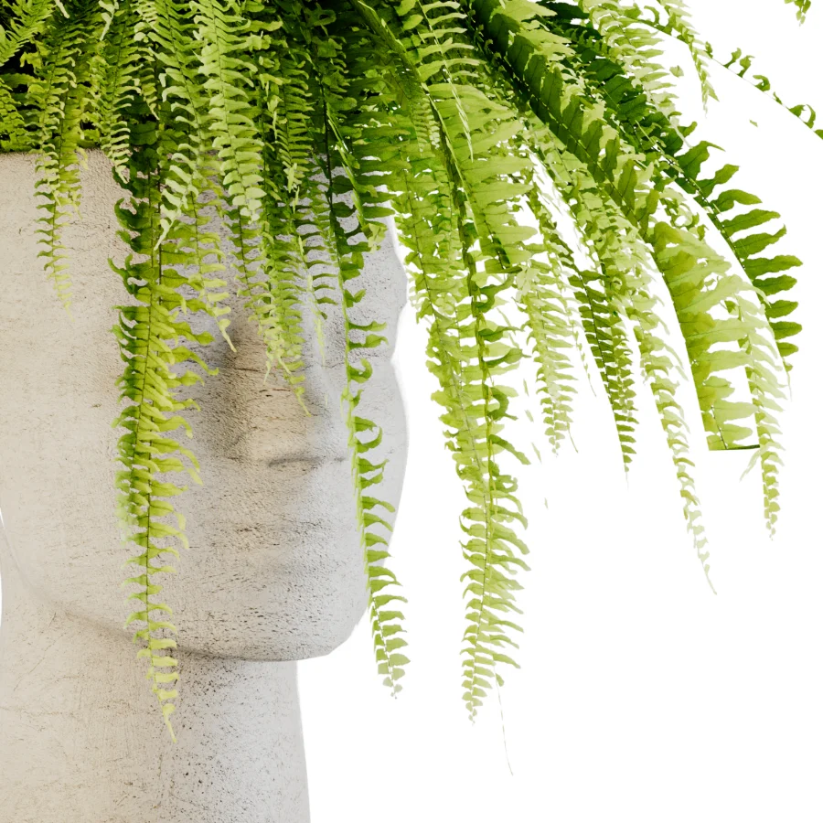 Fern Mind Sculpture Image 2