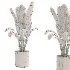 indoor-plant-005 - Thumbnail 3