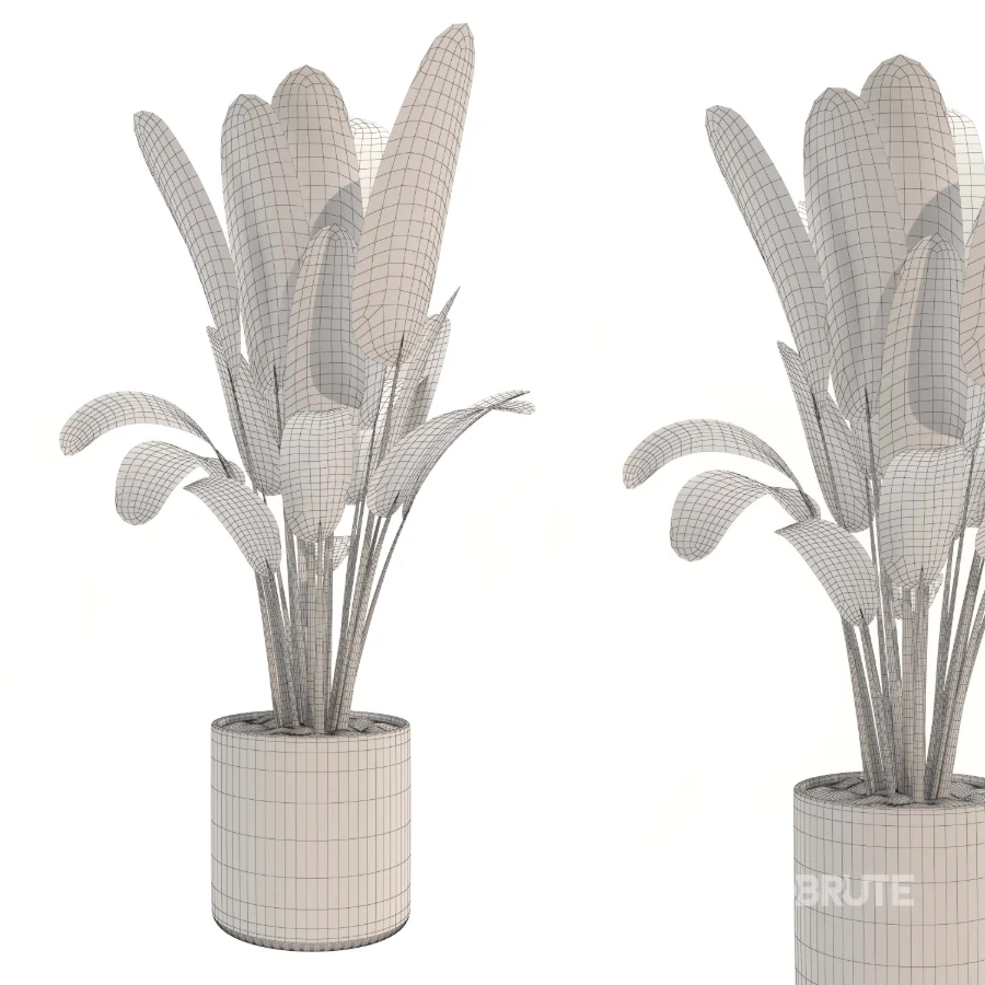 indoor-plant-005 Image 3
